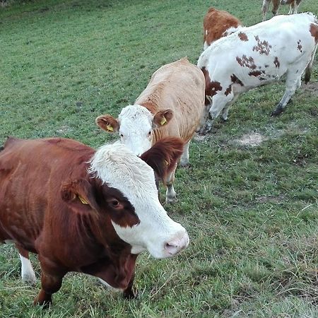 Bergbauernhof Schluder Apartman Hermagor-Pressegger See Kültér fotó